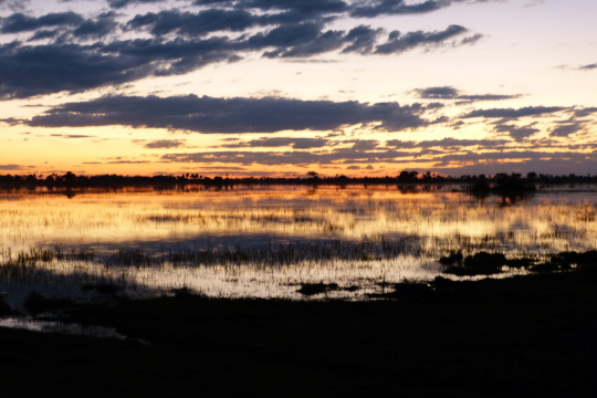 Botswana Sonnenuntergang