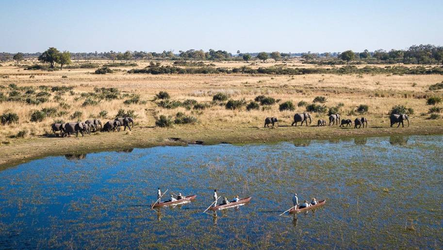 original Elefanten an Wasserstelle in Afrika