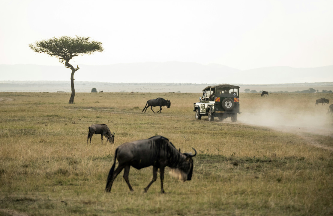 original Safari1