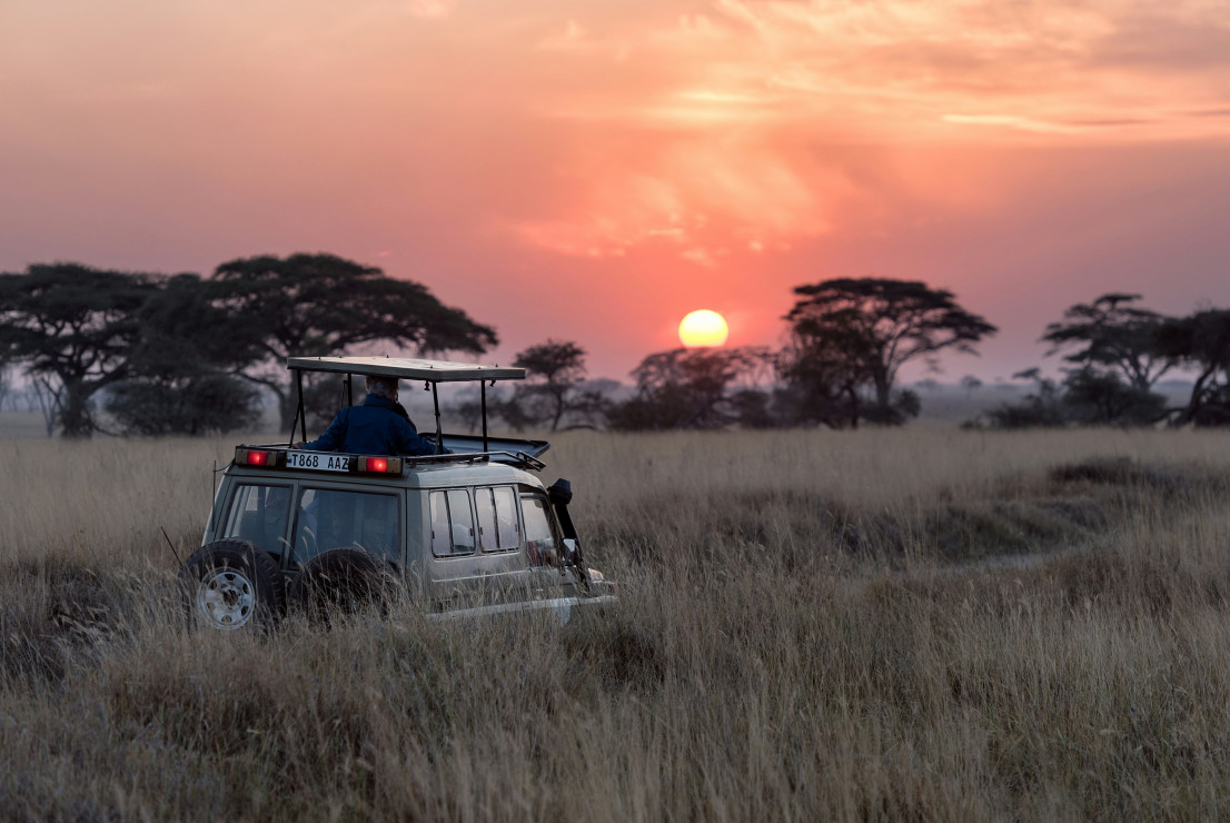 original Safari