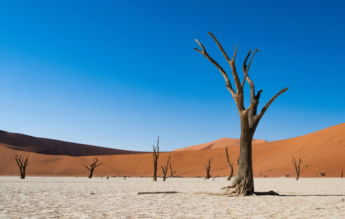 original Namib3