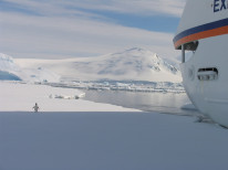 original Antarktis 2013 904 klein