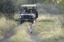 original Afrika-Jeep Loewen