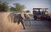 original Safari2