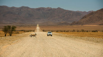 original Safari4