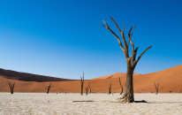 original Namib3
